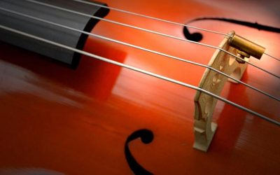 Open Strings Music: Interactive Music Sessions With Adults Of All Ages Across Brighton